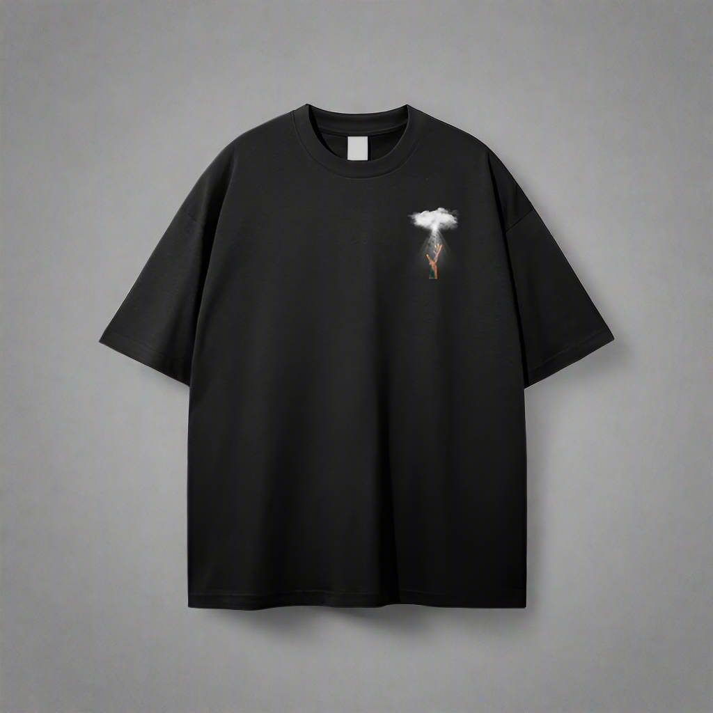 COLOSSIANS 3:2 TEE