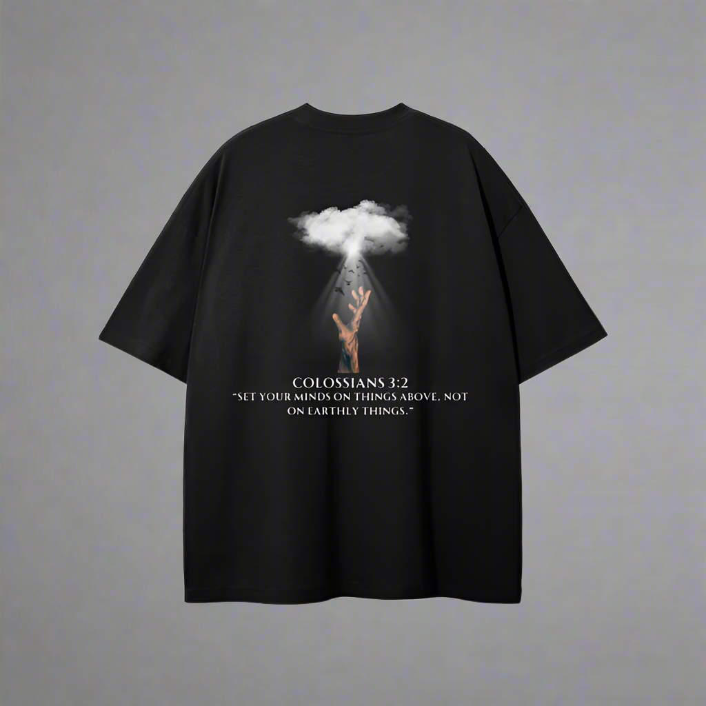 COLOSSIANS 3:2 TEE
